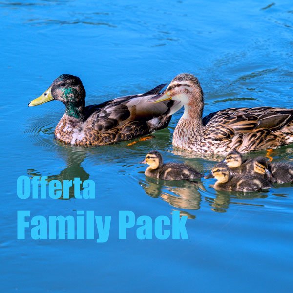 Family Pack